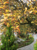Herbst_2